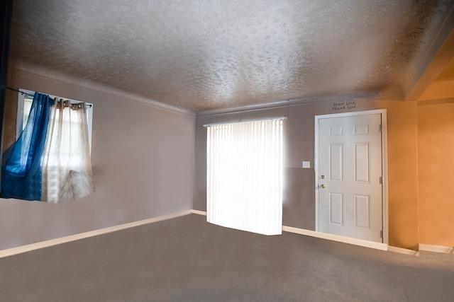 interior space featuring carpet and a textured ceiling