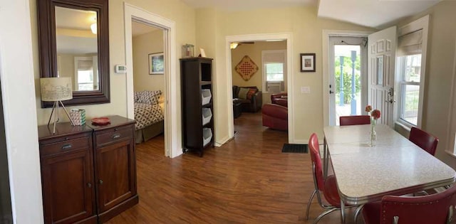 dining area featuring dark wood-type flooring