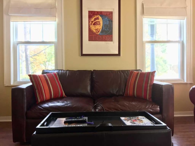 living room with dark hardwood / wood-style floors