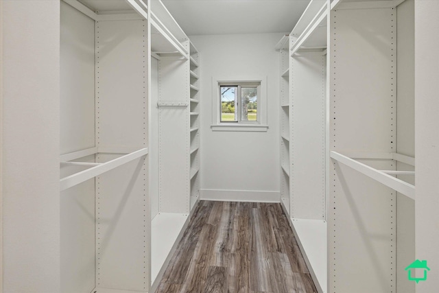 spacious closet featuring wood finished floors