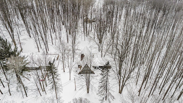 view of snowy aerial view