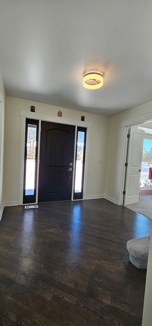 entrance foyer featuring dark wood-type flooring