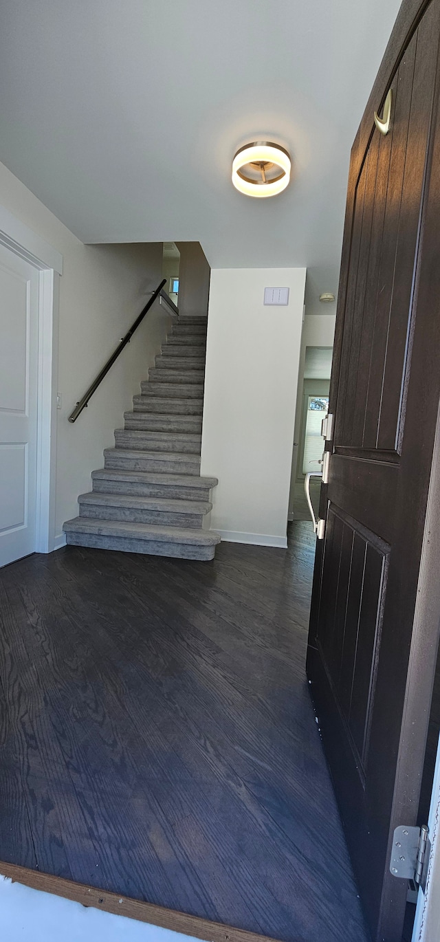 staircase with hardwood / wood-style floors