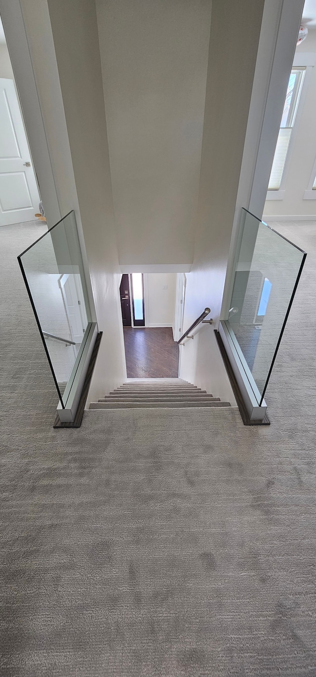 stairway featuring carpet and a towering ceiling