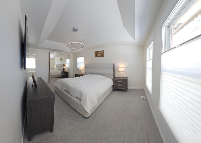 carpeted bedroom with multiple windows and a tray ceiling