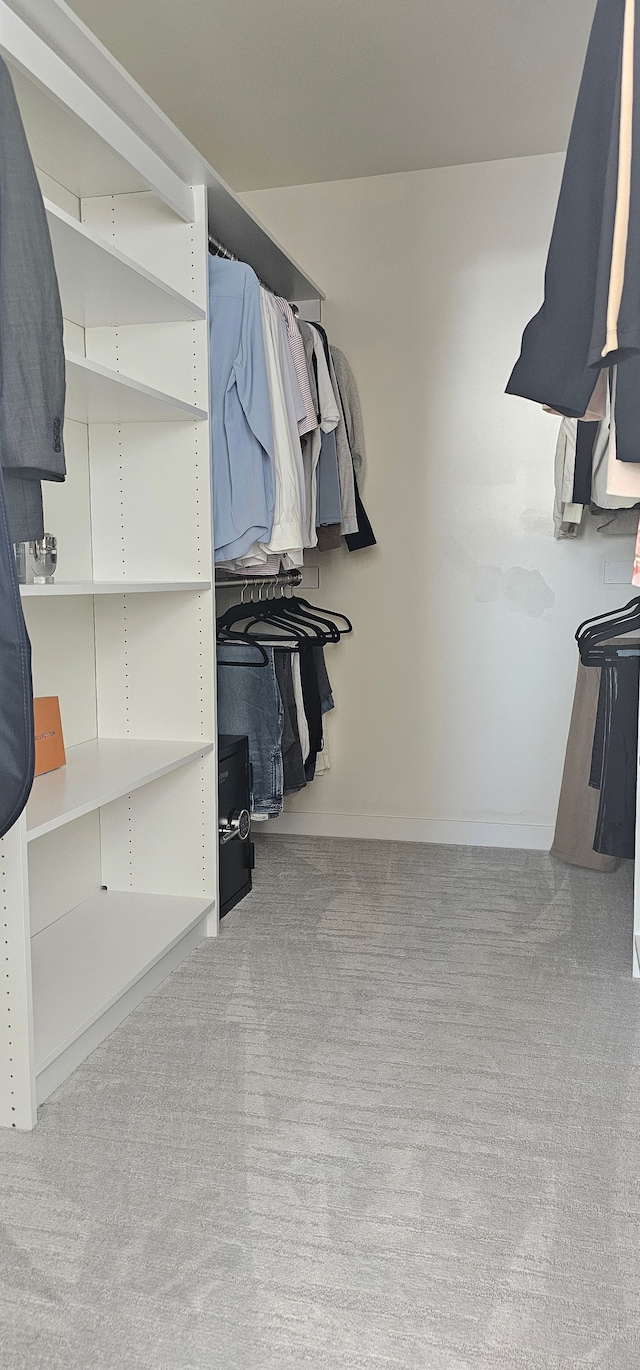 spacious closet with light colored carpet