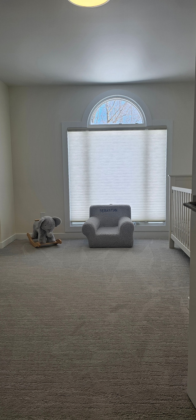 sitting room featuring carpet flooring