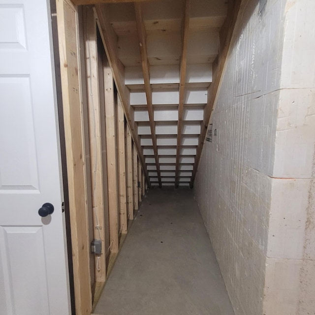 10781 Woodbrook Dr, Cement City, MI 49233 - view of basement