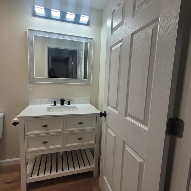 10781 Woodbrook Dr, Cement City, MI 49233 - bathroom with vanity and wood finished floors