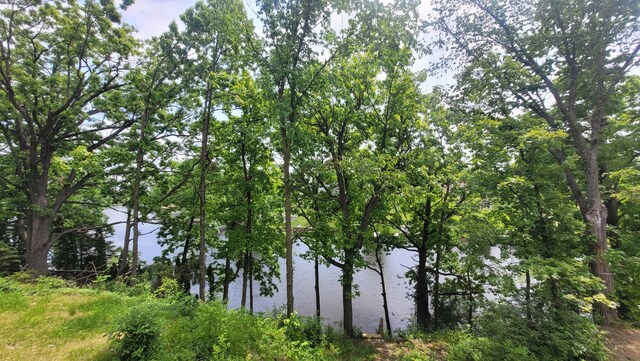 10781 Woodbrook Dr, Cement City, MI 49233 - water view