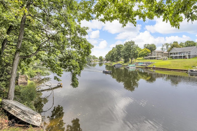 10781 Woodbrook Dr, Cement City, MI 49233 - water view