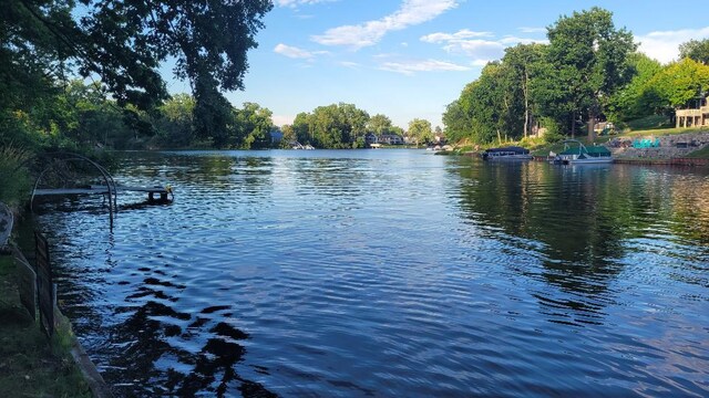 10781 Woodbrook Dr, Cement City, MI 49233 - water view
