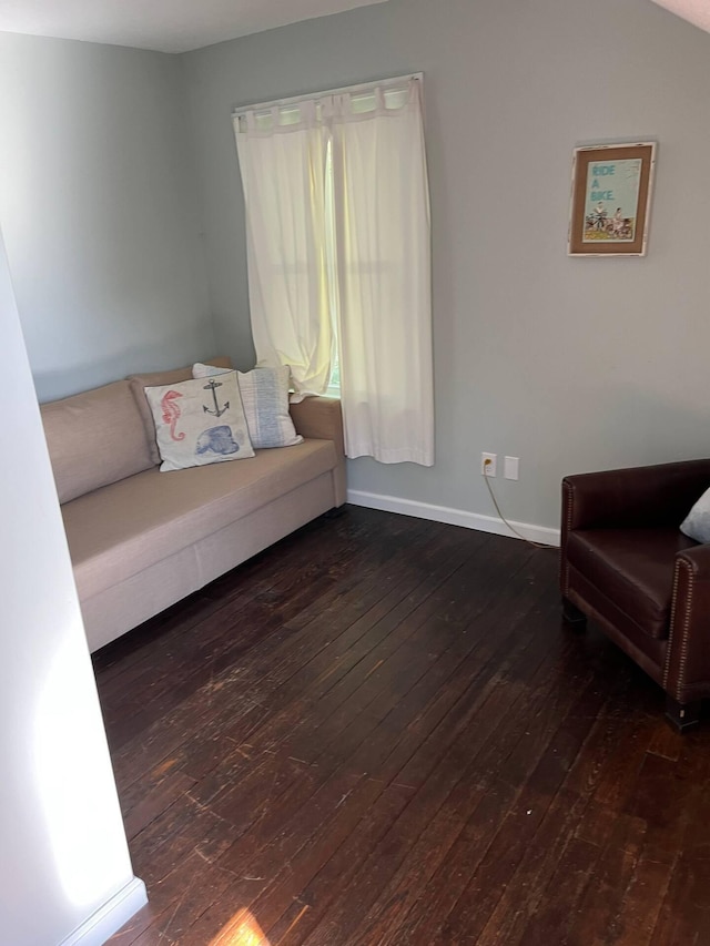 living room featuring dark hardwood / wood-style flooring