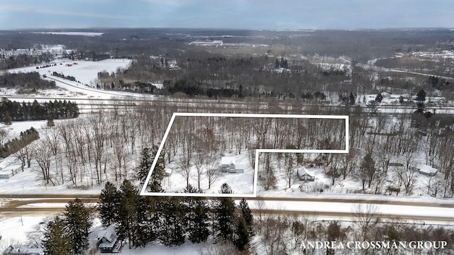 view of snowy aerial view