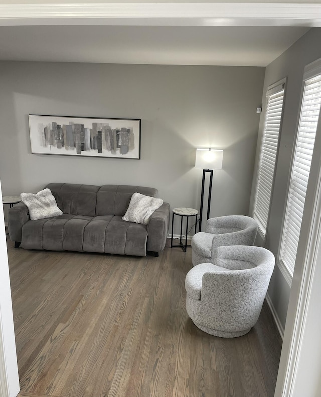 living room with wood-type flooring