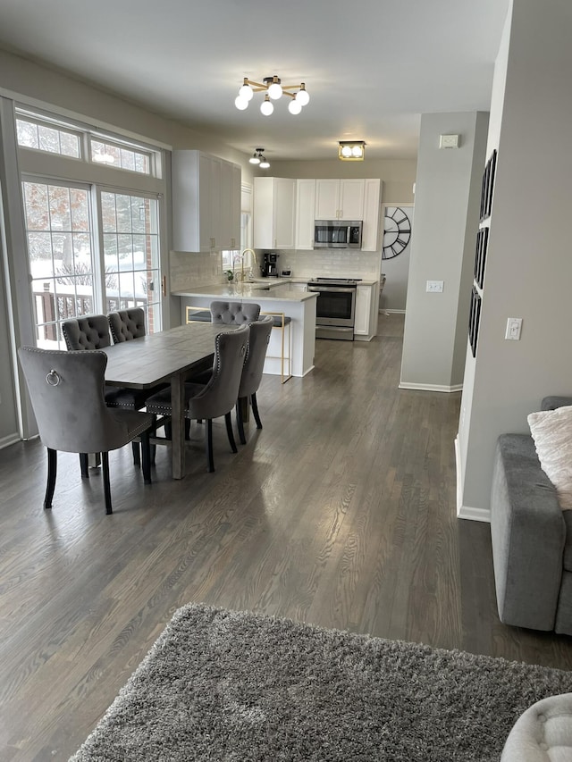 dining space with sink and dark wood-type flooring