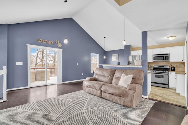 living room with hardwood / wood-style flooring and high vaulted ceiling