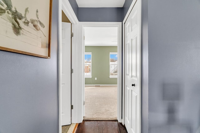 hall featuring dark wood-type flooring