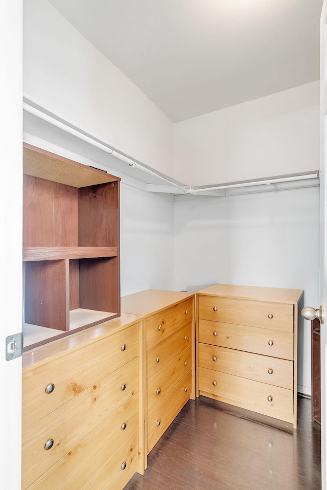 walk in closet featuring dark hardwood / wood-style flooring