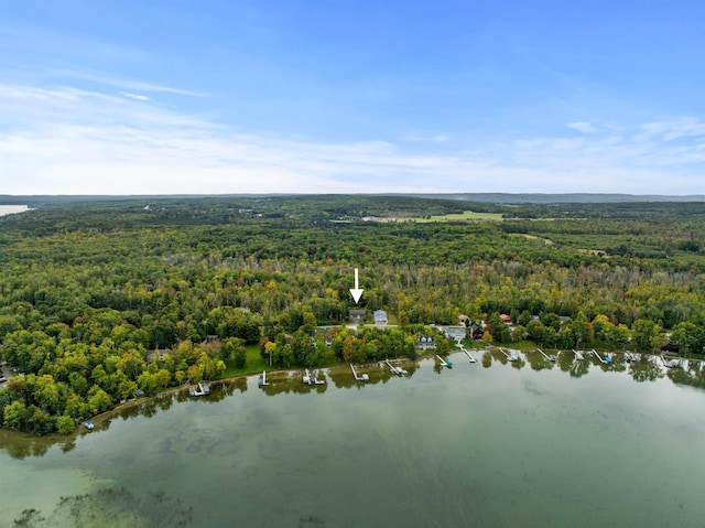 11246 Kings Pt, Alanson, MI 49706