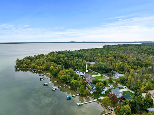 11246 Kings Pt, Alanson, MI 49706
