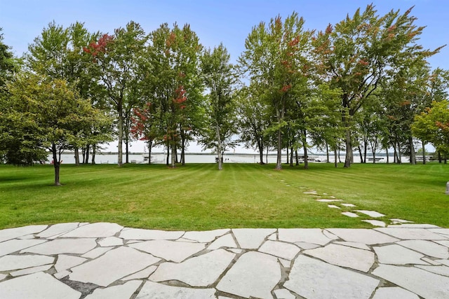11246 Kings Pt, Alanson, MI 49706