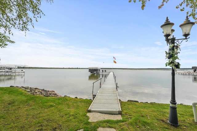 11246 Kings Pt, Alanson, MI 49706