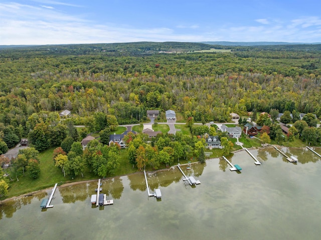 11246 Kings Pt, Alanson, MI 49706