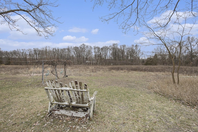 view of yard with a rural view