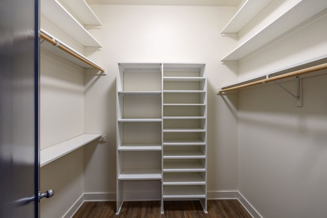 walk in closet with dark wood finished floors