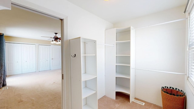 closet with visible vents