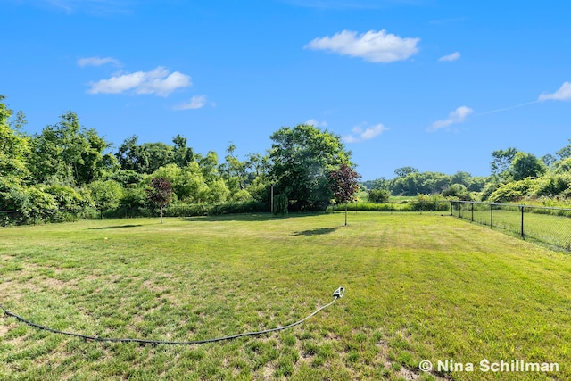 834 N Michigan St, Fremont, MI 49412 - view of yard
