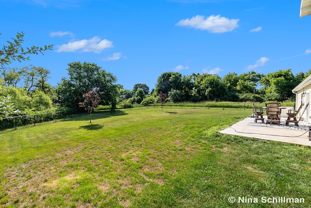 834 N Michigan St, Fremont, MI 49412 - view of yard with a patio area