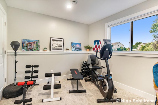 834 N Michigan St, Fremont, MI 49412 - exercise room with plenty of natural light and carpet