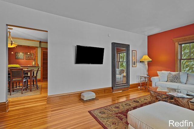 living area featuring wood finished floors