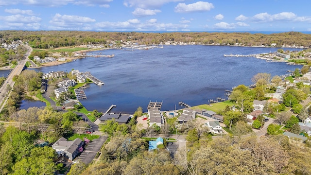 bird's eye view with a water view and a residential view