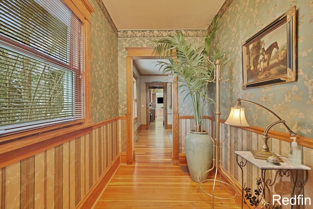 hallway with wallpapered walls, ornamental molding, a wainscoted wall, and light wood-type flooring