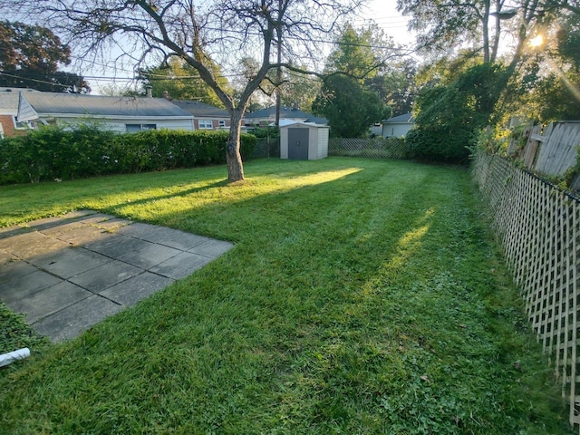 view of yard with a storage shed, a fenced backyard, a patio, and an outdoor structure