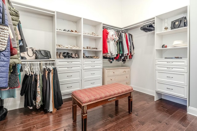 spacious closet featuring dark wood-type flooring