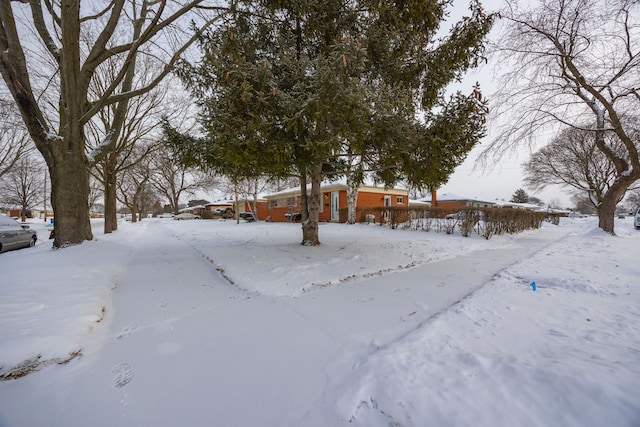 yard covered in snow with a garage