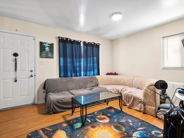 living room with wood finished floors