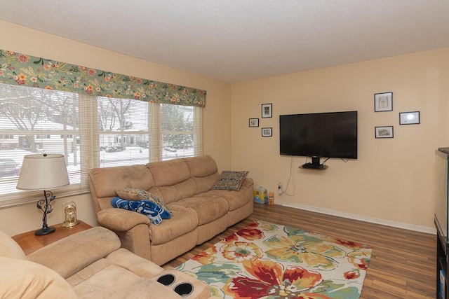 living room with wood finished floors and baseboards