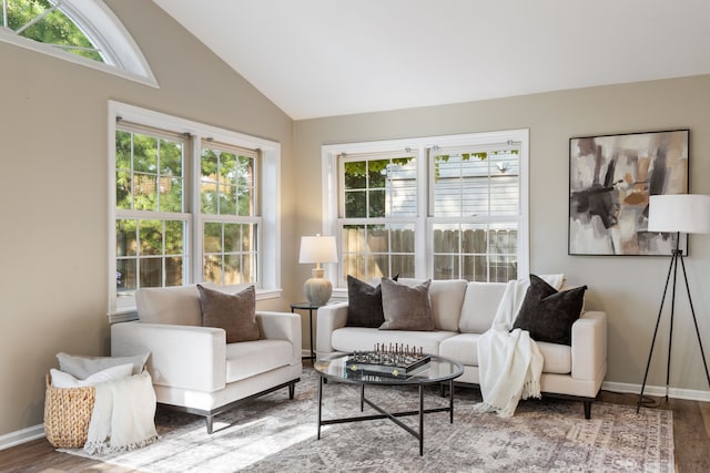 interior space featuring vaulted ceiling, wood finished floors, and baseboards