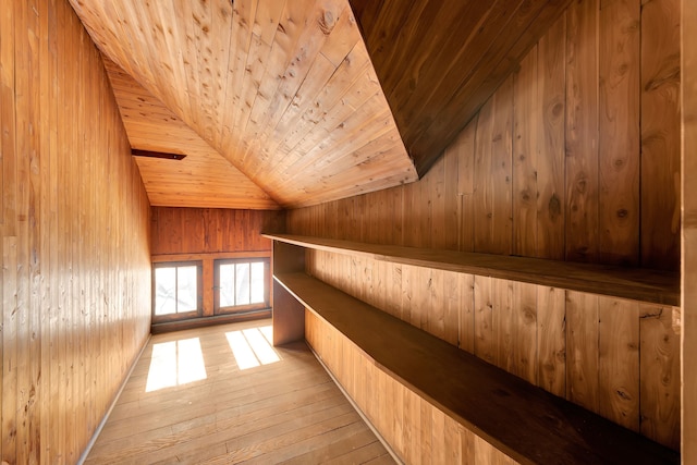 view of sauna featuring wood finished floors