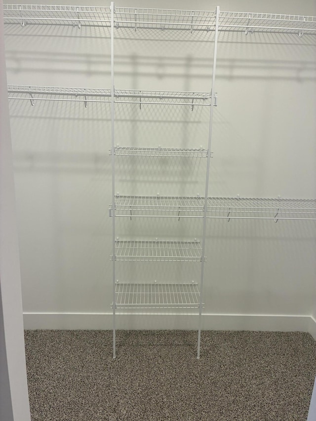 1973 Lowe Dr, Spring Lake, MI 49456 - view of spacious closet