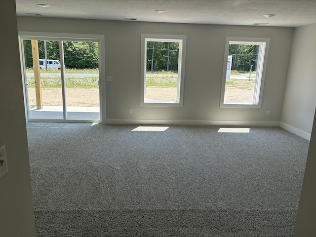 1973 Lowe Dr, Spring Lake, MI 49456 - spare room featuring carpet floors and plenty of natural light