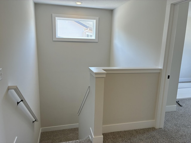 1973 Lowe Dr, Spring Lake, MI 49456 - stairway featuring carpet floors