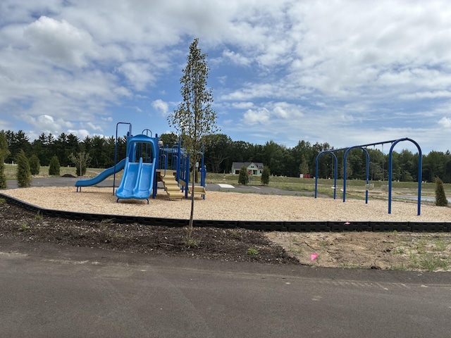 1973 Lowe Dr, Spring Lake, MI 49456 - view of community play area