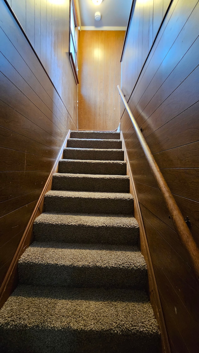 stairs featuring wooden walls