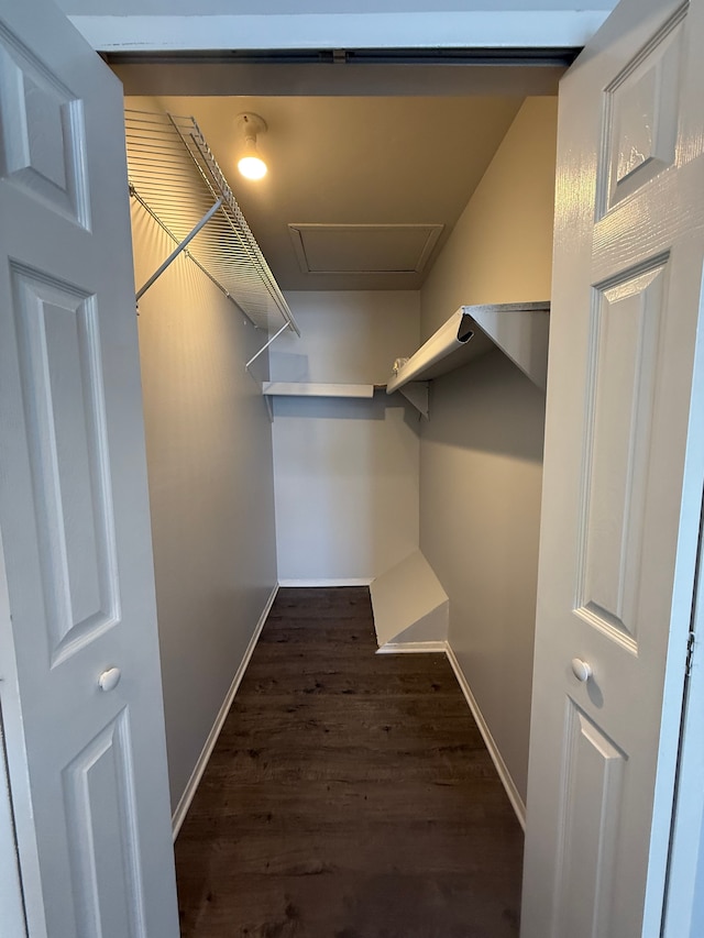 walk in closet featuring dark wood-style flooring